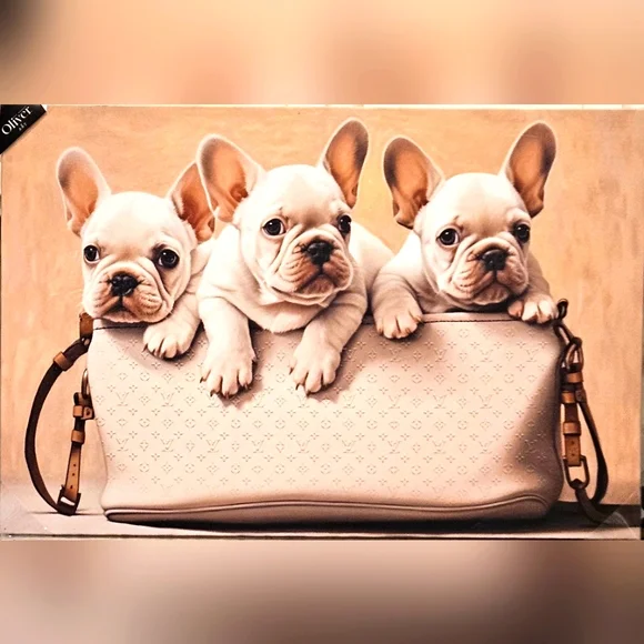 新品 オリバーガル Frenchies In The Tub Amazon.co.jp: Oliver Gal 「Frenchies In The Tub」 犬と子犬の